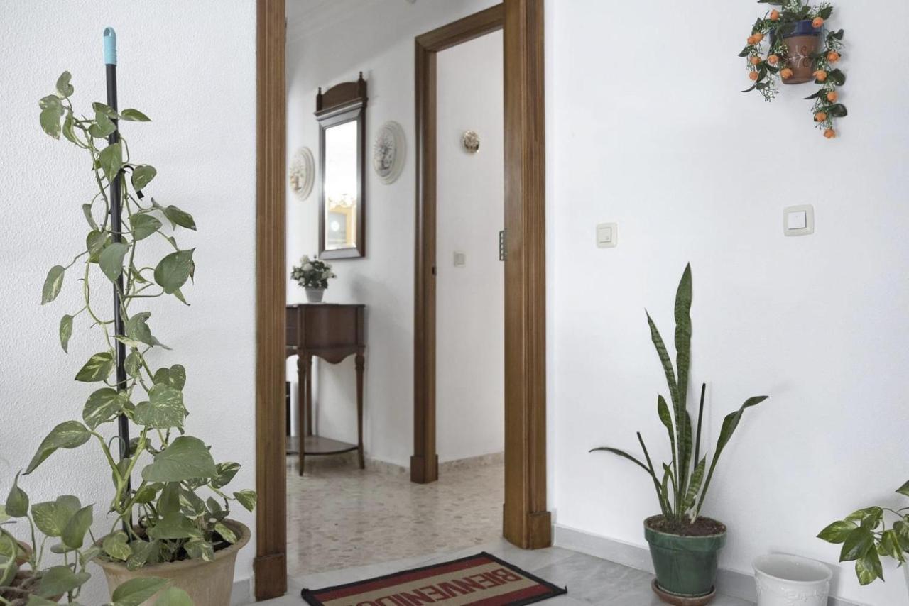 Pepa's House * Conil De La Frontera